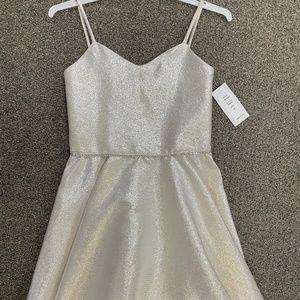 Elegant Silver Kids Formal Dress